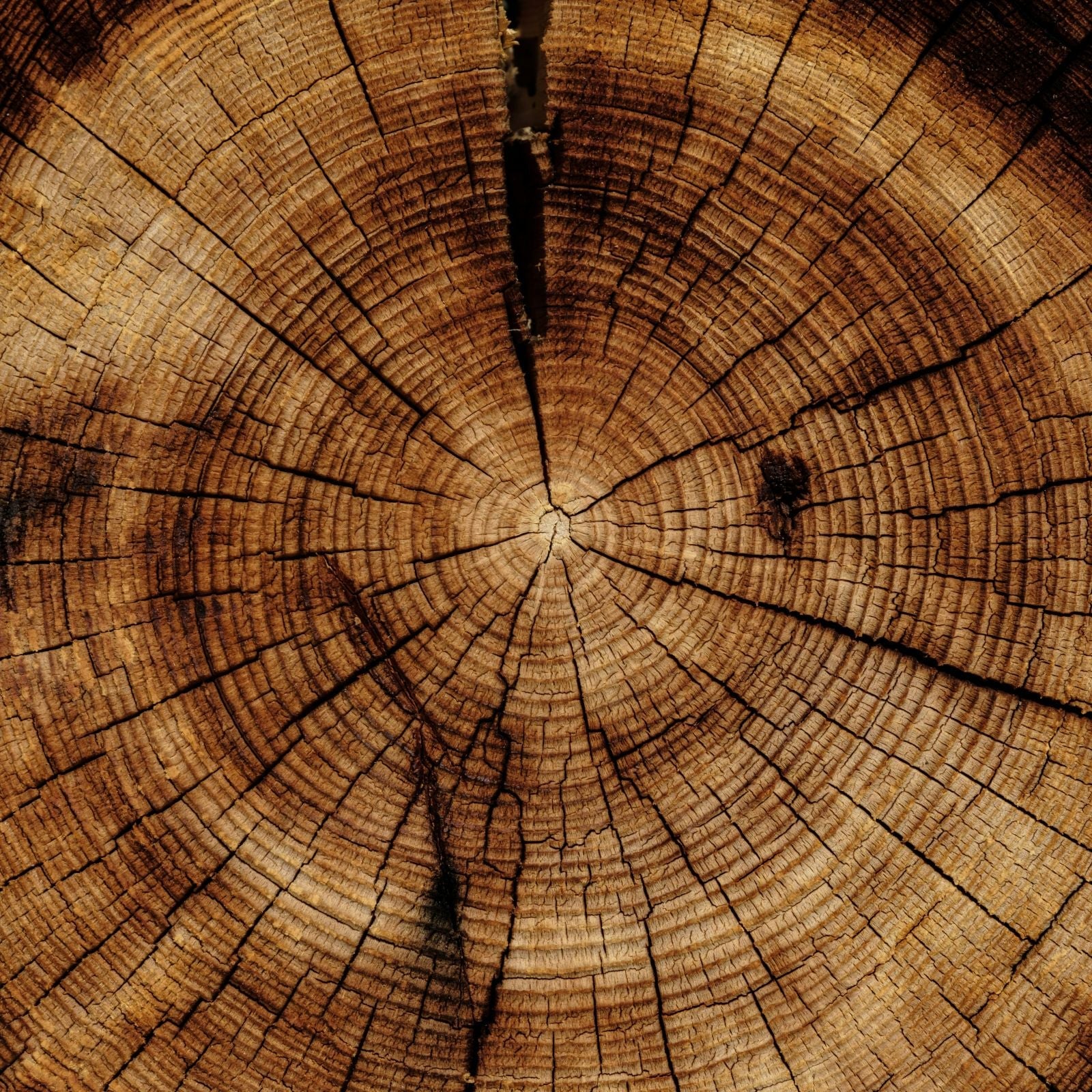 5 ans - Noces de bois