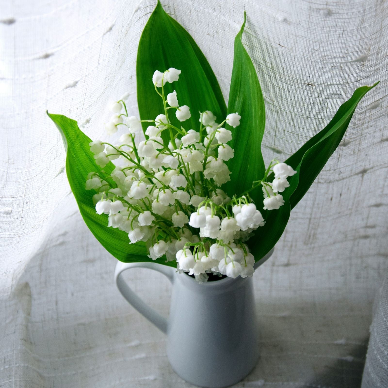 13 ans - Noces de muguet
