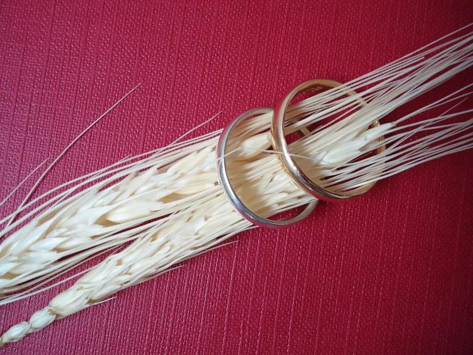 Deux alliances en or glissées sur des épis de blé