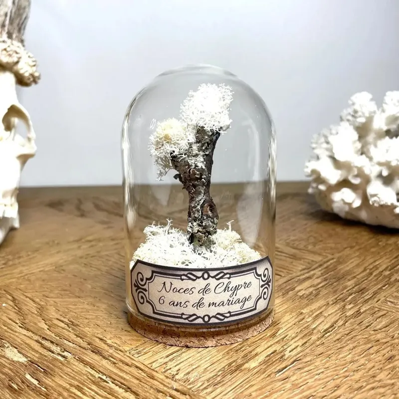 Fleurs séchées sous cloche de verre, étiquetée noces de chypre