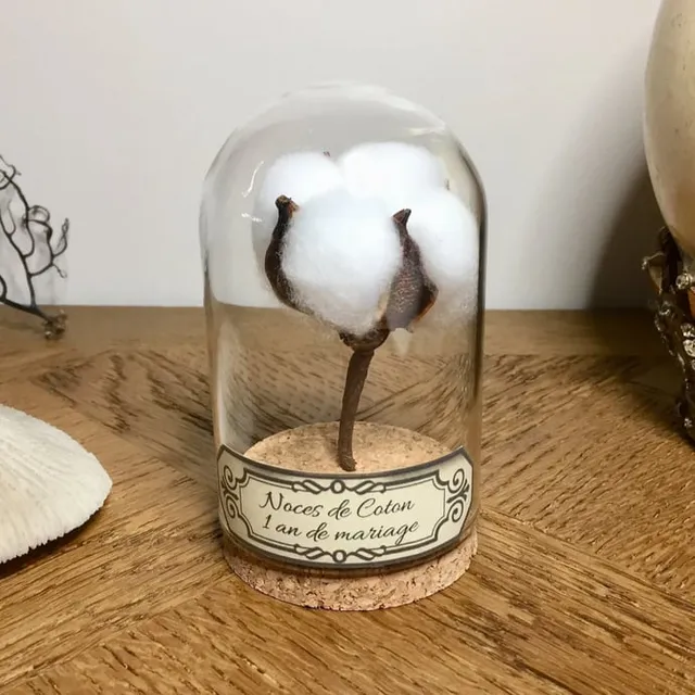 Fleur de coton sous cloche de verre, gravée Noces de coton