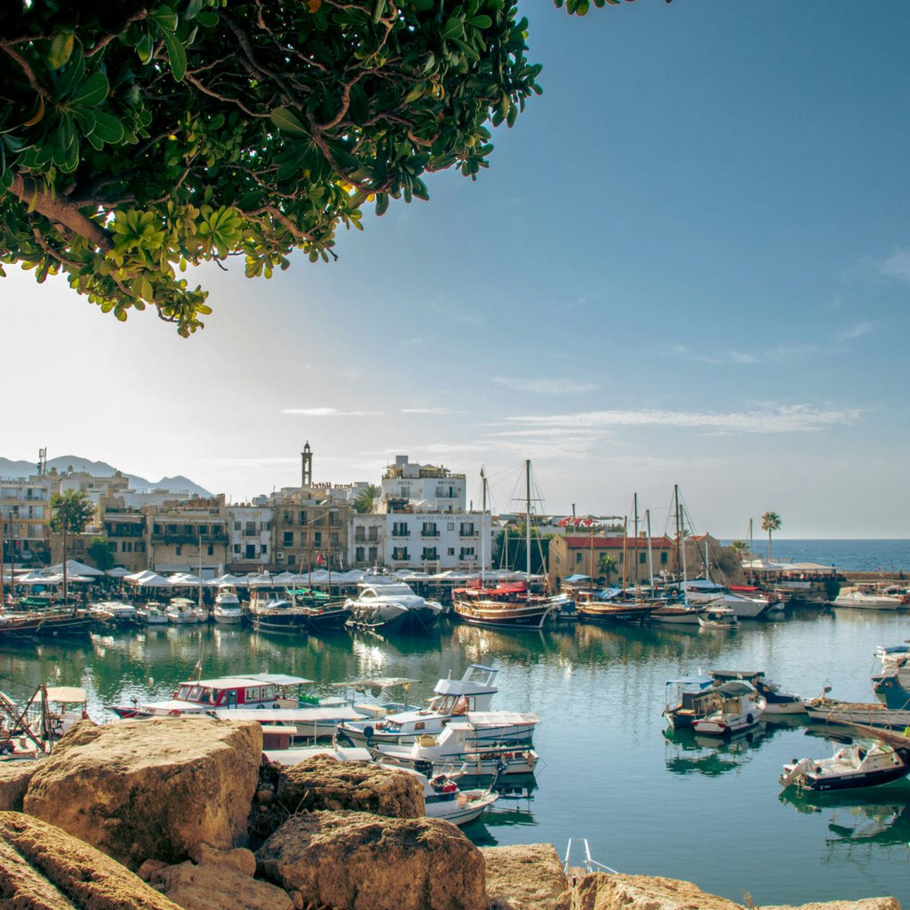 Un voyage à Chypre