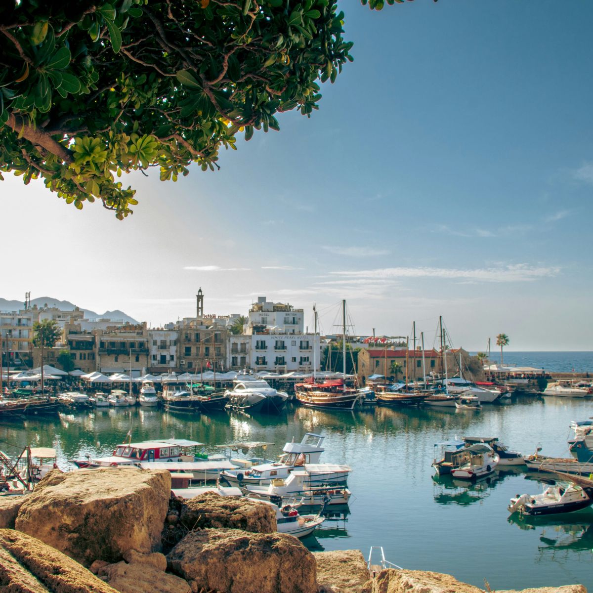 Un voyage à Chypre
